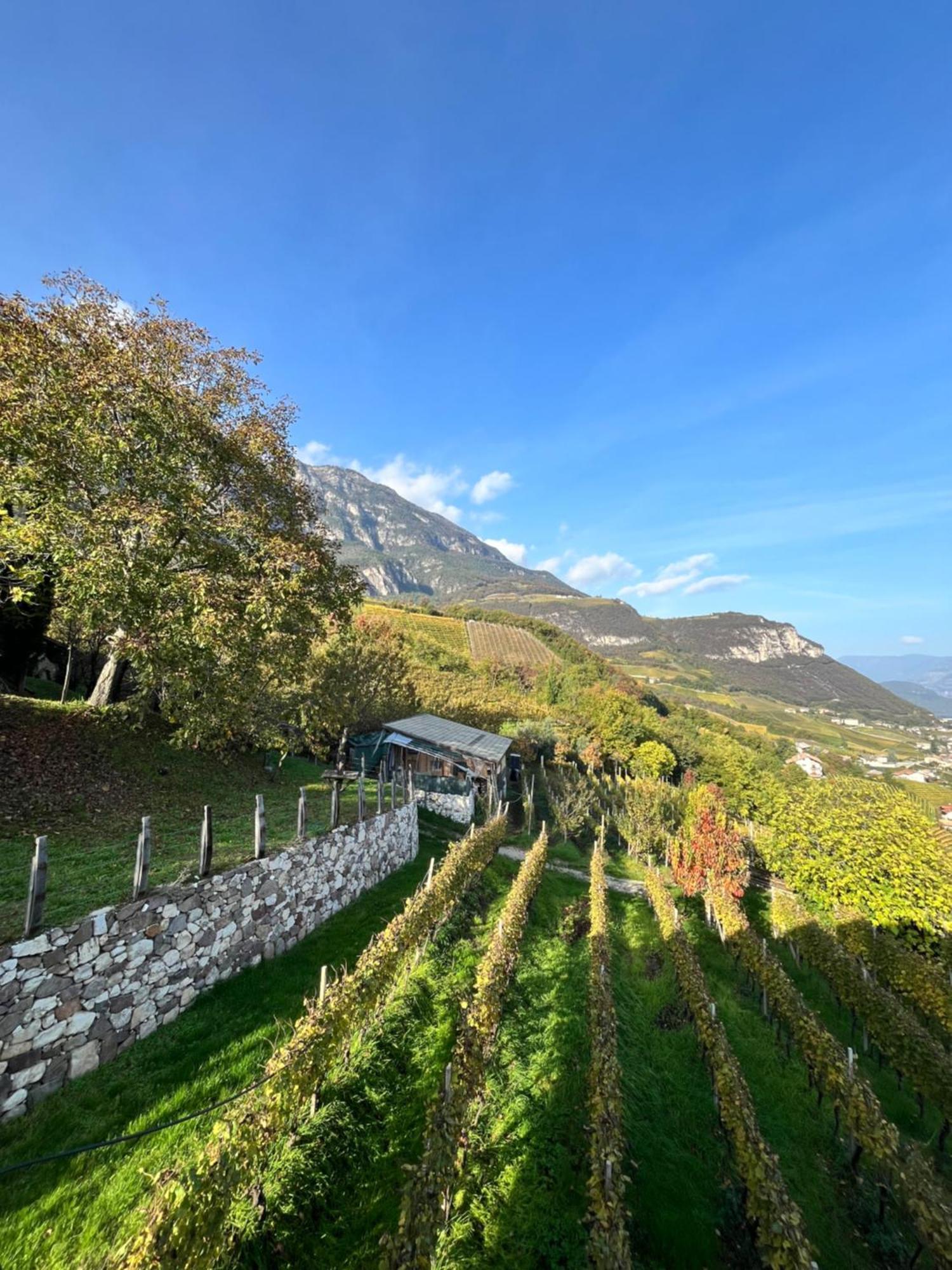 Voldersberghof Apartment Cortaccia Luaran gambar